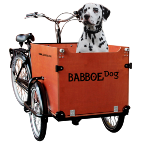 babboe_dog_lastenrad