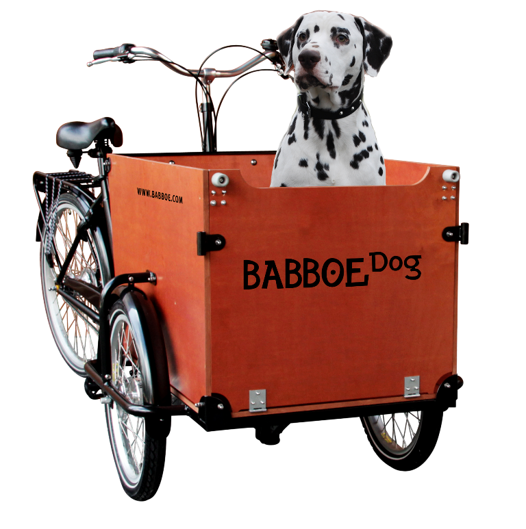 babboe_dog_lastenrad Drahtesel