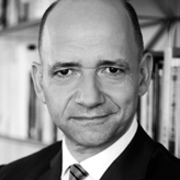 Thomas Hofer, Politikberater