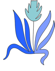 Illu